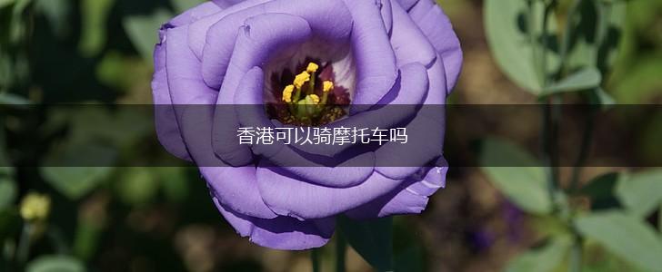 香港可以骑摩托车吗,第1张
