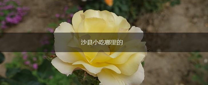 沙县小吃哪里的,第1张