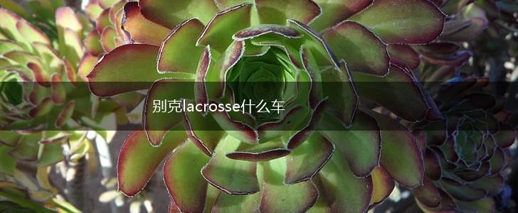 别克lacrosse什么车,第1张