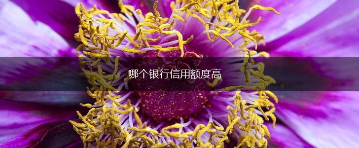 哪个银行信用额度高,第1张