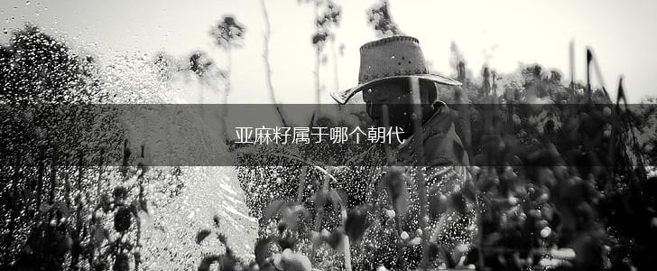 亚麻籽属于哪个朝代,第1张