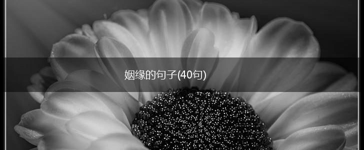 姻缘的句子(40句),第1张
