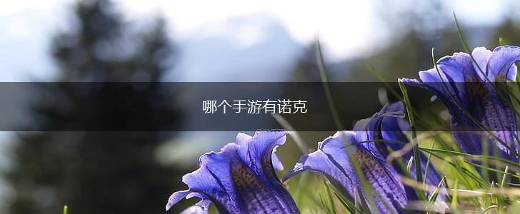 哪个手游有诺克,第1张