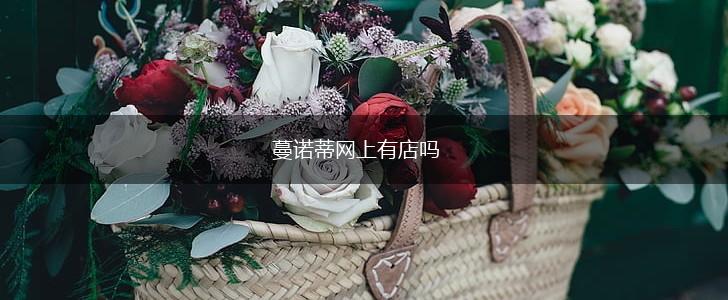蔓诺蒂网上有店吗,第1张