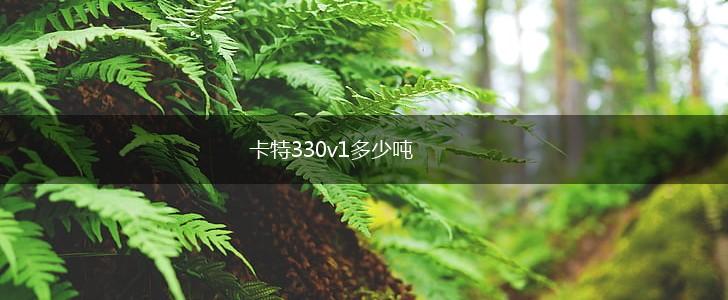 卡特330v1多少吨,第1张