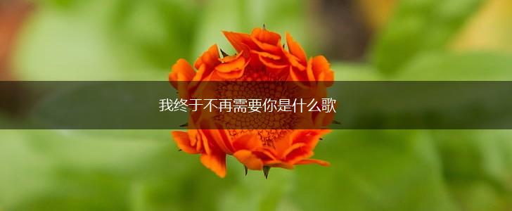 我终于不再需要你是什么歌,第1张
