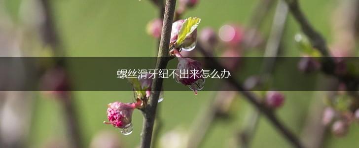 螺丝滑牙纽不出来怎么办,第1张