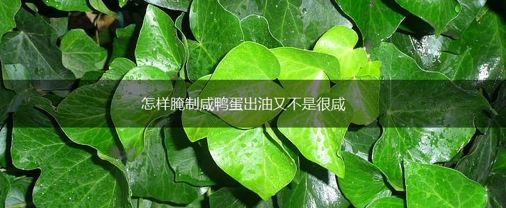 怎样腌制咸鸭蛋出油又不是很咸,第1张