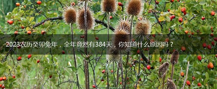 2023农历癸卯兔年，全年竟然有384天，你知道什么原因吗？,第1张