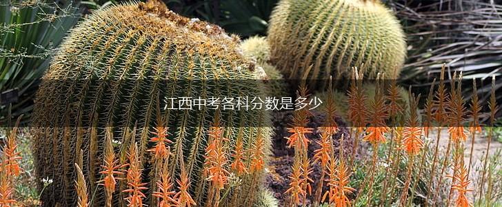 江西中考各科分数是多少,第1张