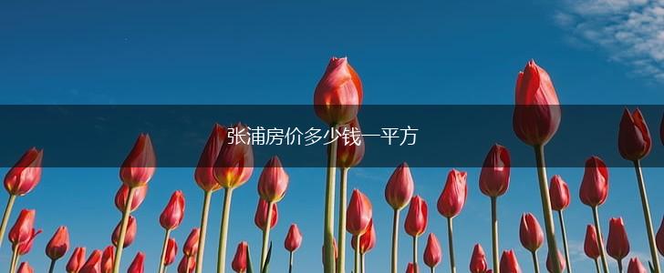 张浦房价多少钱一平方,第1张