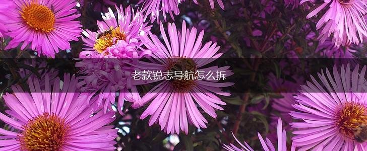 老款锐志导航怎么拆,第1张