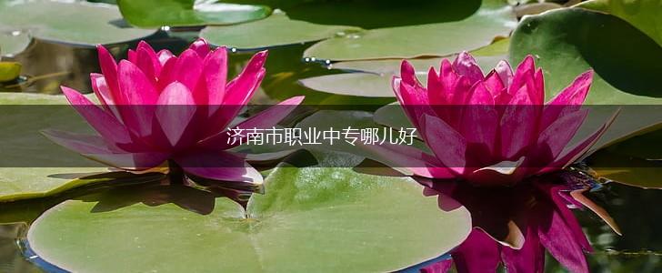 济南市职业中专哪儿好,第1张