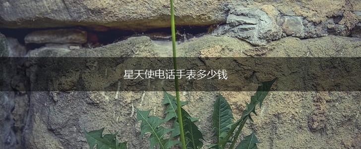 星天使电话手表多少钱,第1张