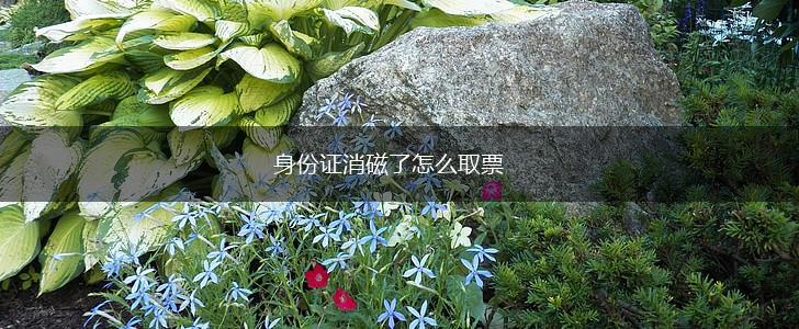 身份证消磁了怎么取票,第1张