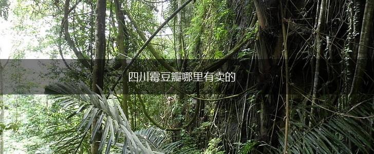 四川霉豆瓣哪里有卖的,第1张