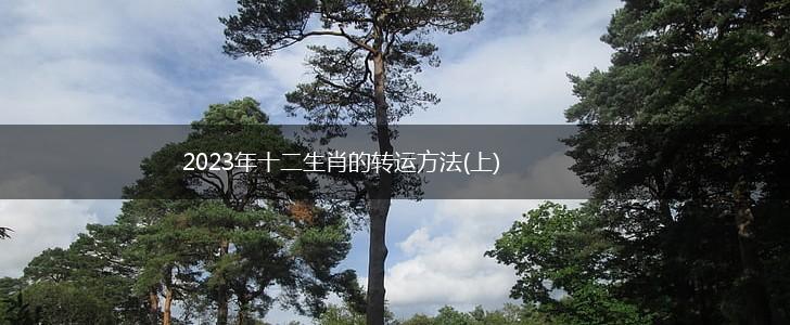 2023年十二生肖的转运方法(上),第1张
