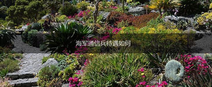 海军通信兵待遇如何,第1张