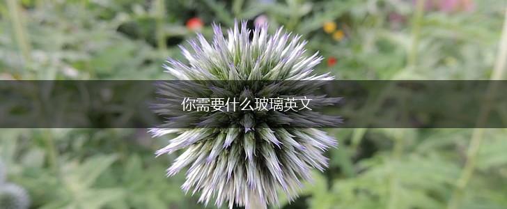 你需要什么玻璃英文,第1张