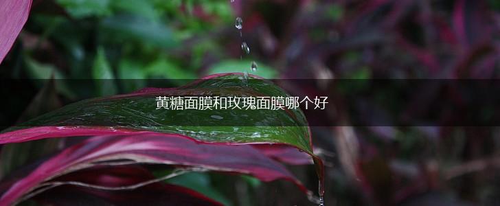 黄糖面膜和玫瑰面膜哪个好,第1张