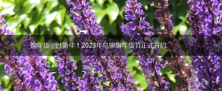 购年货，过新年！2023年乌审旗年货节正式开启,第1张