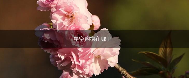 星空购物在哪里,第1张