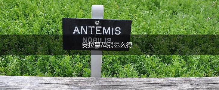 奥拉星战熊怎么得,第1张