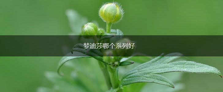 梦迪莎哪个系列好,第1张