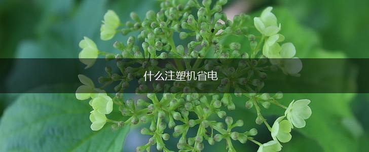 什么注塑机省电,第1张