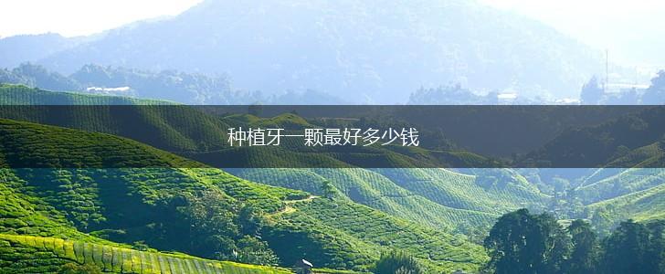 种植牙一颗最好多少钱,第1张