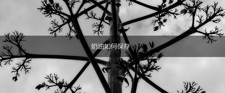 奶油如何保存,第1张