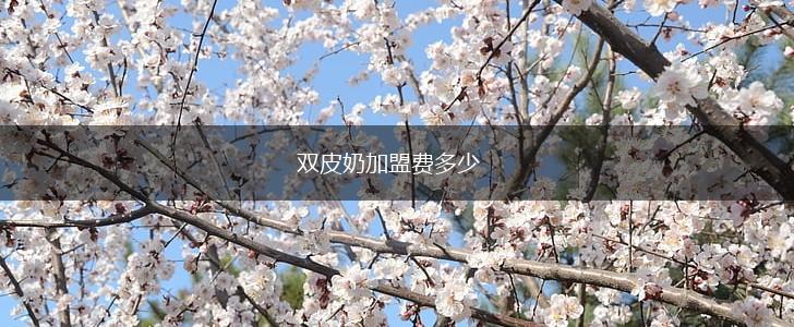 双皮奶加盟费多少,第1张