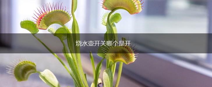 烧水壶开关哪个是开,第1张