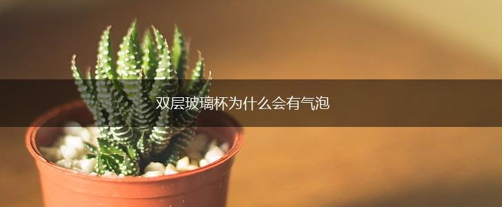 双层玻璃杯为什么会有气泡,第1张