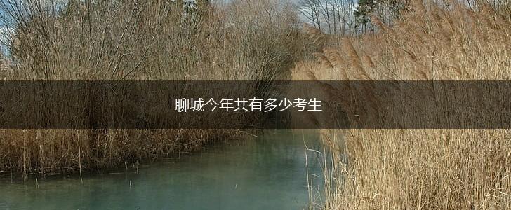聊城今年共有多少考生,第1张