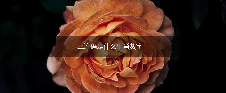 二连码是什么生肖数字,第1张