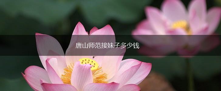 唐山师范接妹子多少钱,第1张
