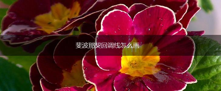 斐波那契回调线怎么画,第1张