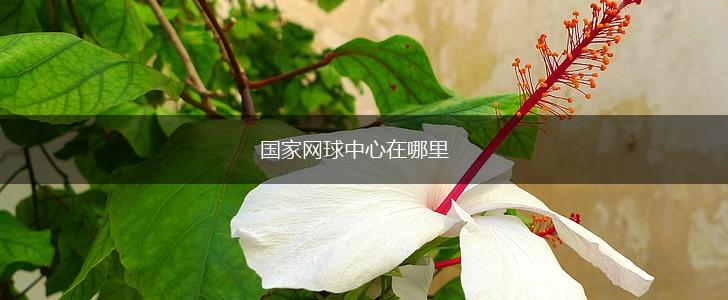 国家网球中心在哪里,第1张