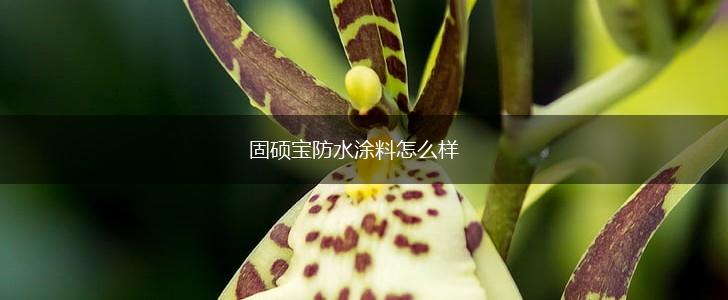 固硕宝防水涂料怎么样,第1张