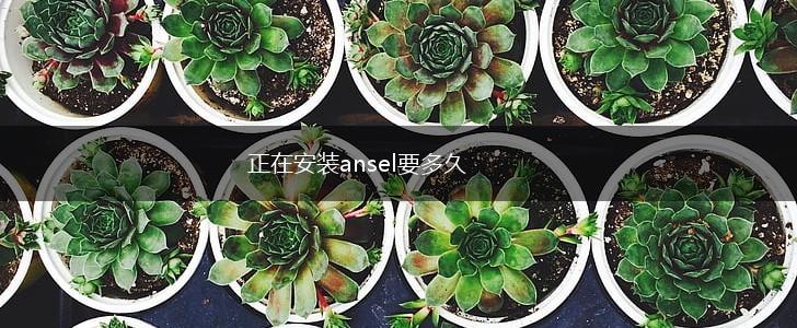 正在安装ansel要多久,第1张