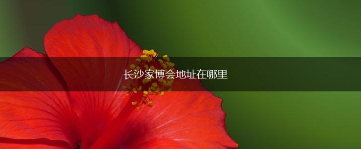 长沙家博会地址在哪里,第1张