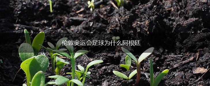伦敦奥运会足球为什么阿根廷,第1张