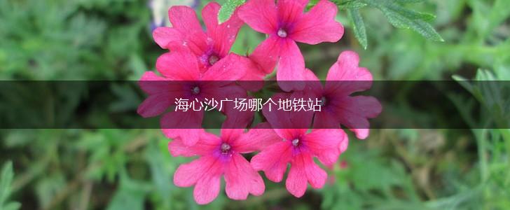 海心沙广场哪个地铁站,第1张