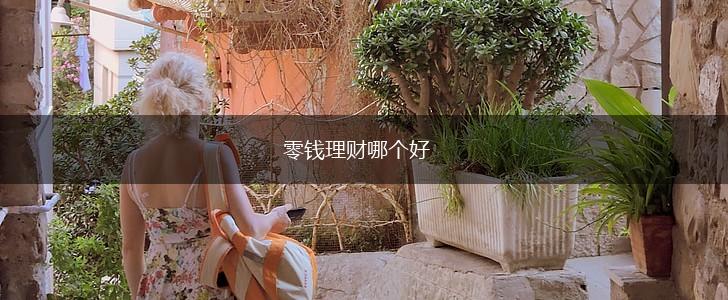 零钱理财哪个好,第1张