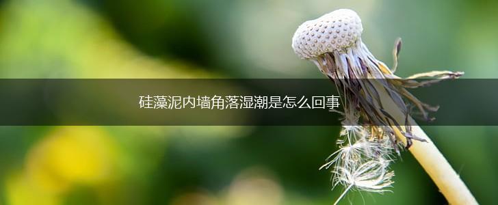 硅藻泥内墙角落湿潮是怎么回事,第1张