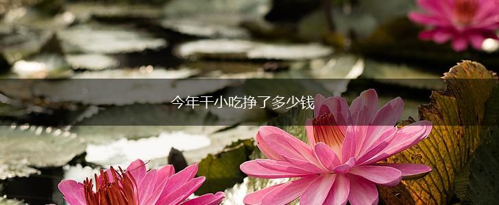 今年干小吃挣了多少钱,第1张