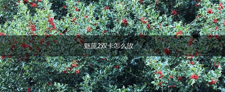 魅蓝2双卡怎么放,第1张