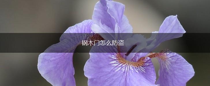 钢木门怎么防盗,第1张