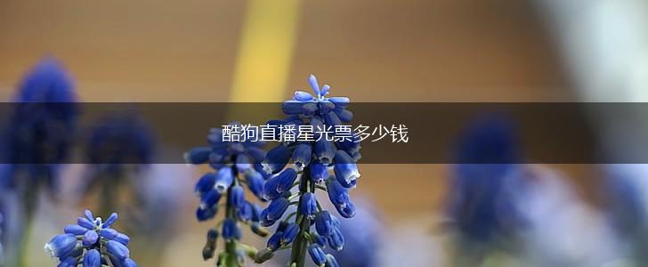 酷狗直播星光票多少钱,第1张